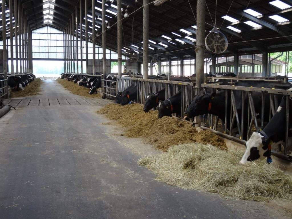 Besuch des Familienverbandes Dopheide in der Dorfmilch- Molkerei Brockhagen am 14. Mai 2022